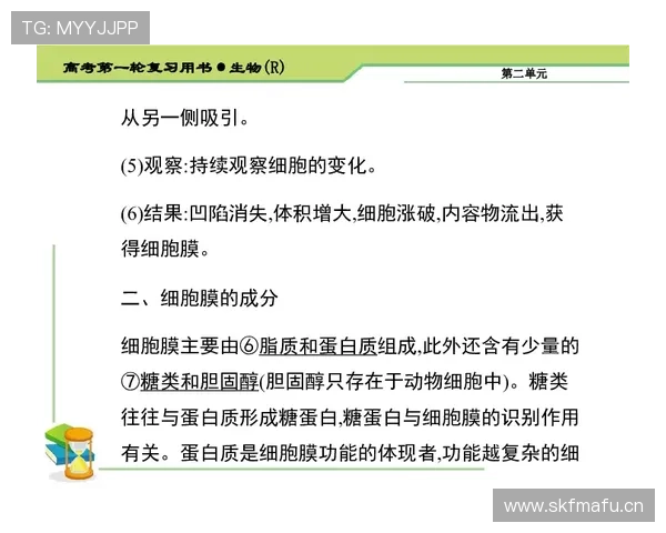 垂直起跳规则的基本要点与常见误区解析
