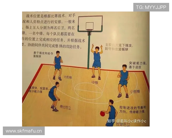 篮球规则详解：什么是防守犯规及其判定依据？